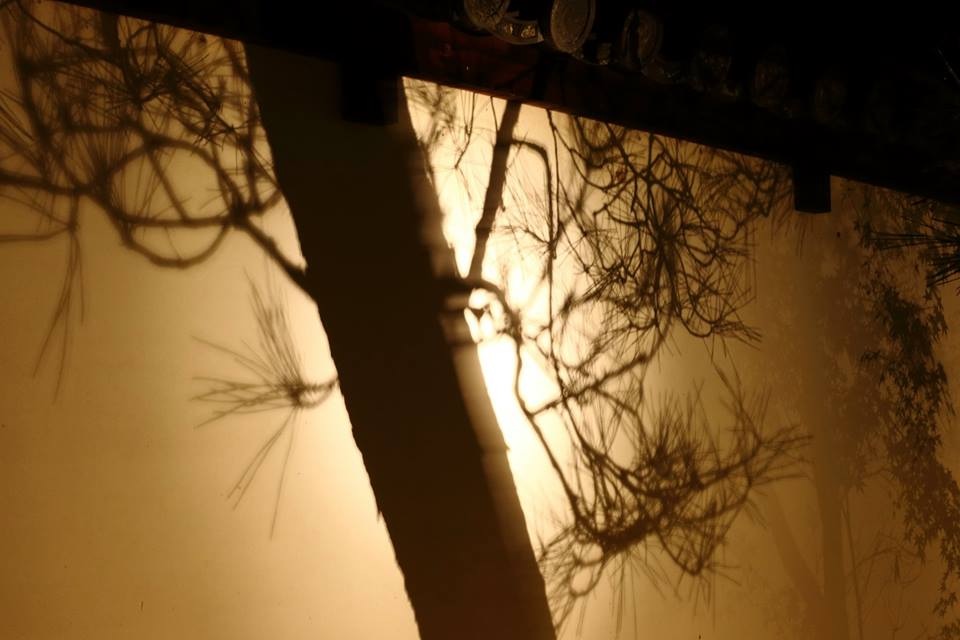 画像に alt 属性が指定されていません。ファイル名: IMG_0003.jpg